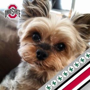 Meet your Posher, Kathy